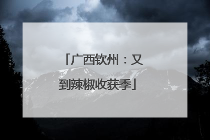 广西钦州：又到辣椒收获季